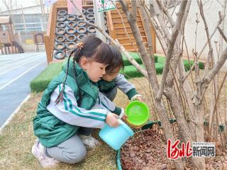 石家庄市华北幼儿园开展“小手植新绿 童心护自然”活动