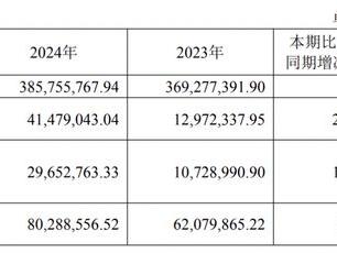 百花医药2024年净利大增220%，轮值总经理黄辉年薪134万元居高管之首