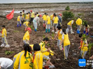 组图｜植树节海口众人参与种树 拉起一道绿色屏障