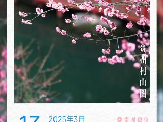 3月13日｜100天的春季 100分的美丽