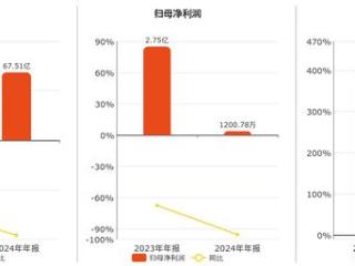 中科三环(000970.SZ)：2024年年报净利润为1200.78万元、同比较去年同期下降95.64%