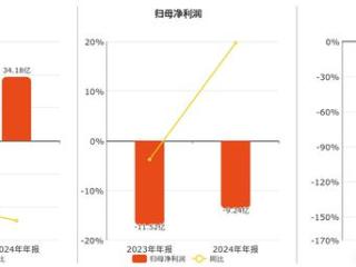 ST佳沃(300268.SZ)：2024年年报净利润为-9.24亿元，同比亏损缩小