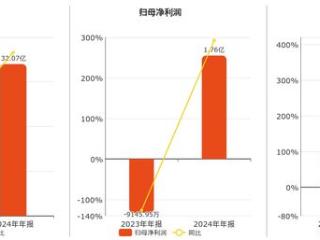 川金诺(300505.SZ)：2024年年报净利润为1.76亿元