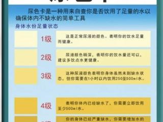 早晨第一泡尿 可能是身体在“喊救命”！这些信号千万小心