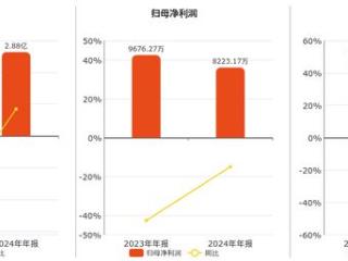 隆扬电子(301389.SZ)：2024年净利润为8223.17万元、较去年同期下降15.02%