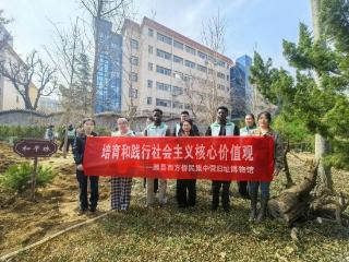 30余名中外大学生共植和平林，潍坊文旅举办植树节活动