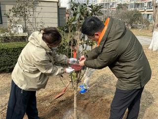 崂山区全民共植绿色希望 实干绘就生态新画卷