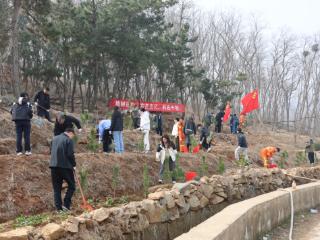 青岛西海岸新区辛安街道：植树增绿，擦亮生态底色