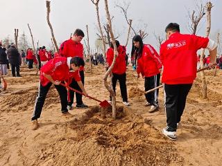 临沂市技师学院：春风送暖催绿意 植树造林恰逢时