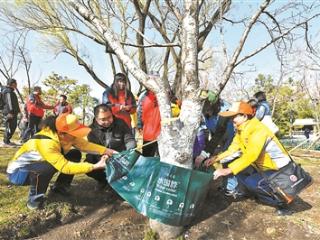 北京14.9万市民参与绿地大扫除