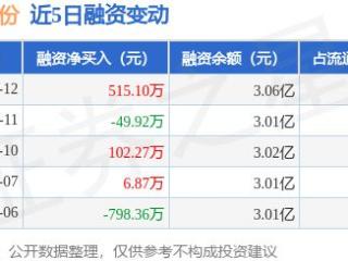 泰达股份：3月12日融资买入1073.12万元，融资融券余额3.07亿元