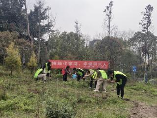 同筑绿色梦！他们在植树节种下绿意与希望