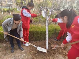 济南市莱芜区凤城街道皇庭港湾社区：根植民族同心树 携手共育团结林