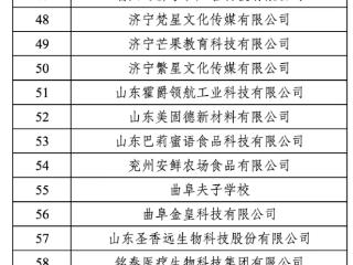 2025年济宁市“232”优势产业集群专场招聘会来啦