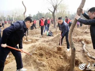 1500余人为春天充“植”，河湾公园的植树活动你去了吗?