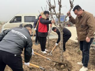 射阳：美化家乡 志愿者开展植树造林活动