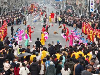 乙巳年涡阳老子庙会暨涡阳县第二届民俗文化节开幕