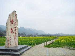 G视觉｜抢先探秘！贵定金海雪山，春日盛景初现