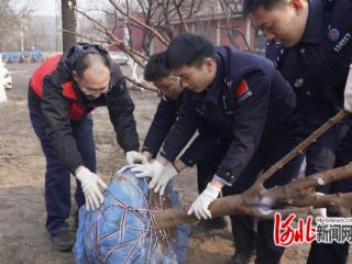 共建生态家园，绘就绿色画卷！唐山海港经济开发区开展植树节系列活动