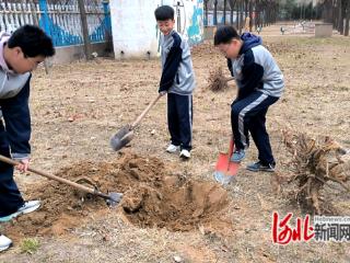 邢台市南和区新区学校开展植树节实践活动