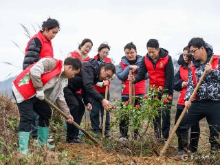 【高清组图】贵州玉屏：植树添新绿