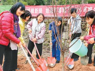 闽台姐妹共植“巾帼林”