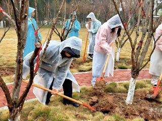 “我为校园添新绿” 中南民族大学开展植树节活动