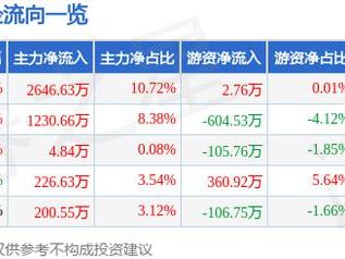 长源电力（000966）3月13日主力资金净买入2646.63万元