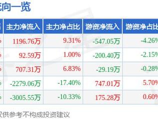 康力源（301287）3月13日主力资金净买入1196.76万元