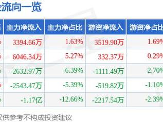 汇金科技（300561）3月13日主力资金净买入3394.66万元