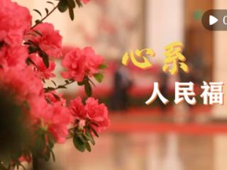 微视频｜心系人民福祉