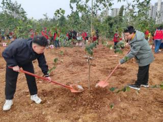 中建六局城建公司西南分公司开展“植廉洁之苗 扬清廉之风” 廉洁从业主题活动