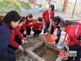 无极县实验小学组织开展植树活动