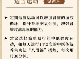 如何养肾护肾？专家教你这样做！