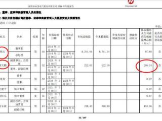 禾望电气去年净利降12%：总经理郑大鹏涨薪73万达256万 董秘刘济洲降薪50万高管列表中排名猛降