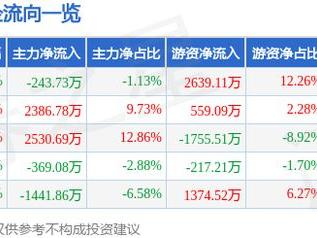 嘉澳环保（603822）3月14日主力资金净卖出243.73万元