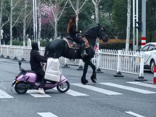 六安街头现骑马女青年 引路人围观