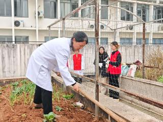 从课堂到药田，金华职业技术大学学子开启沉浸式种药实践课