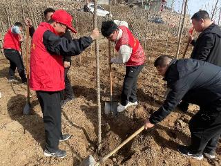 河北沙河：用“党建红”植下“生态绿”