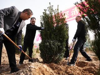 河北隆尧：义务植树为尧山增绿