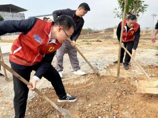 政企联动共植乡村绿