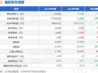 美利云（000815）2024年年报简析：净利润减2987.1%，三费占比上升明显