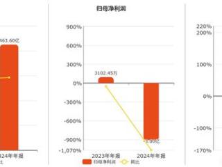 宝胜股份(600973.SH)：2024年年报净利润为-3.00亿元，同比由盈转亏