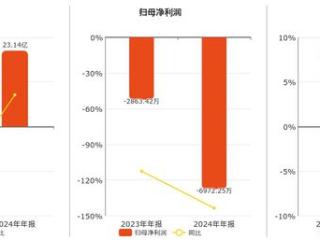 国风新材(000859.SZ)：2024年年报净利润为-6972.25万元，同比亏损放大