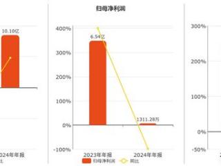 华控赛格(000068.SZ)：2024年年报净利润为1311.28万元、同比较去年同期下降97.99%