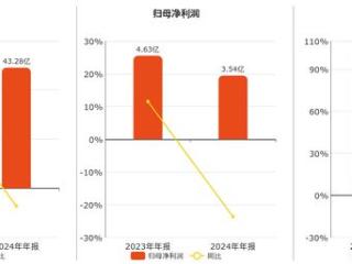 青松建化(600425.SH)：2024年年报净利润为3.54亿元、同比较去年同期下降23.68%