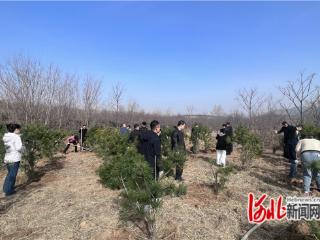 邯郸市丛台区全域绿化春季行动打造生态宜居新面貌