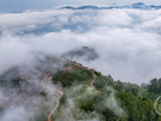 云海丹青绘茶山