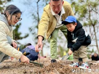 春日添新绿，青岛市李沧区300余名志愿者共植希望