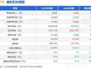 *ST宁科（600165）2024年年报简析：增收不增利，盈利能力上升